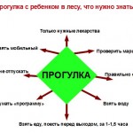 В лес с ребенком, на что обратить внимание Памятка